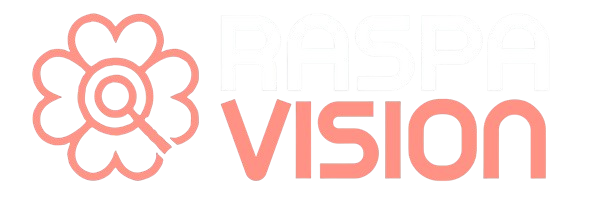 Raspa Vision - Sua melhor raspadinha está aqui.